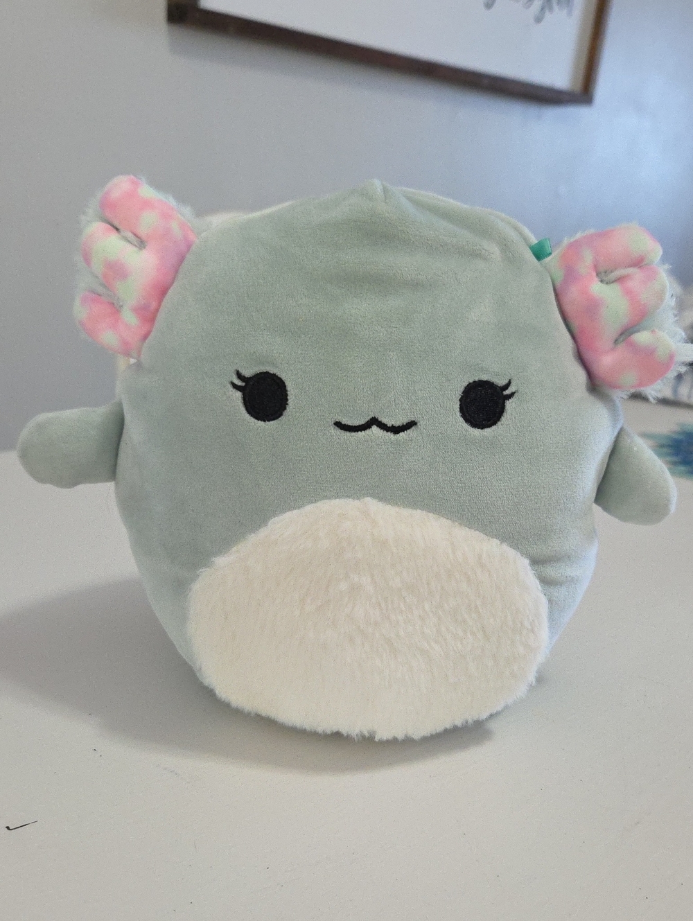 Squishmallows Chasmen The Axolotl